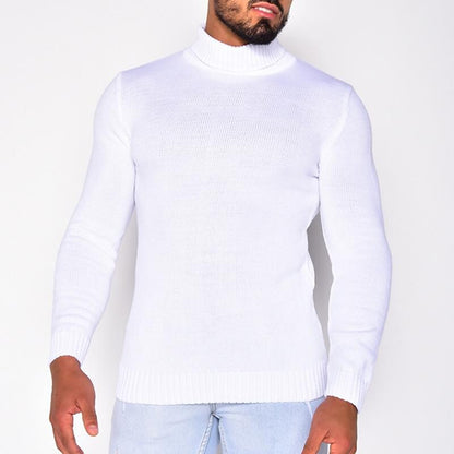 Men's Pullover Turtleneck Solid Color Basic Knit Sweater